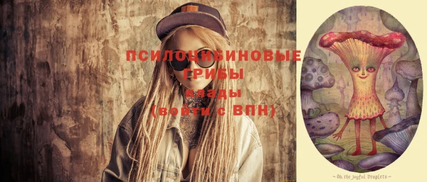 соль ск Вязники