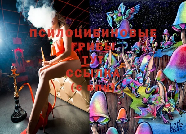 каннабис Гусев