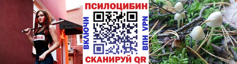 shop клад  Вышний Волочёк  Галлюциногенные грибы Cubensis 